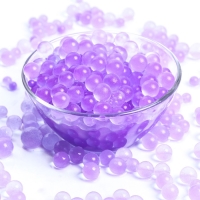 Аквагрунт &laquo;Жемчужный&raquo;, 50 г, фиолетовый