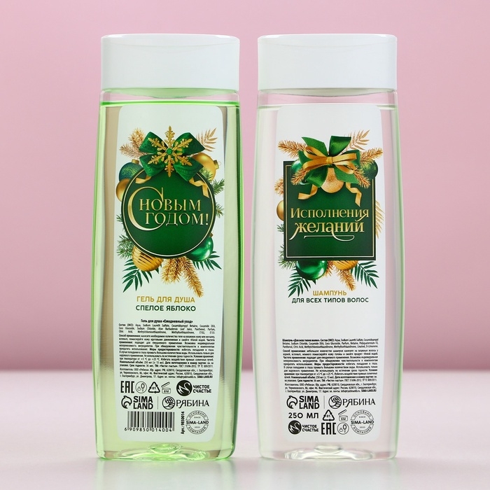 Подарочный набор косметики &laquo;Мечты обязательно сбудутся&raquo;, гель для душа и шампунь для волос, 2 х 250 мл, Новый Год