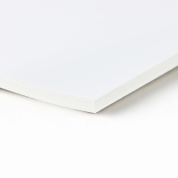 Картон белый А4 16 листов мелованный 230г/м&sup2; в папке &laquo;1 сентября: БукиБяки&raquo;