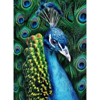 Алмазная мозаика с полным заполнением на холсте &laquo;Павлин&raquo;, 15 х 21 см