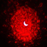 Световой прибор &laquo;Монпасье&raquo; 5 см, лазер, динамик, свечение мульти, 5 В