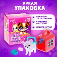 Набор &laquo;Мой любимый питомец&raquo;, МИКС