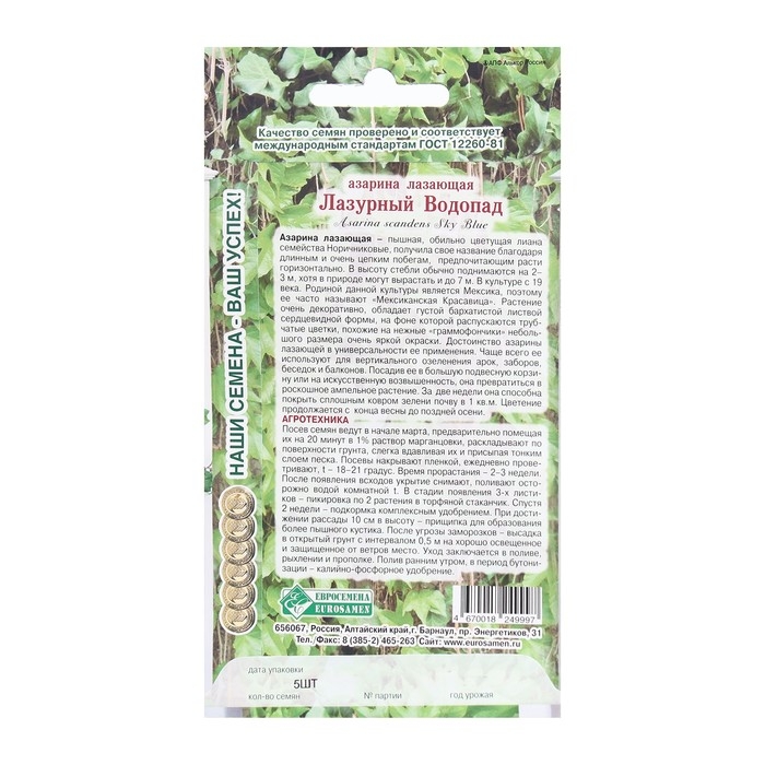 Семена Цветов Азарина лазающая Лазурный Водопад, 5 шт Семена Цветов Азарина лазающая Лазурный Водопад, 5 шт