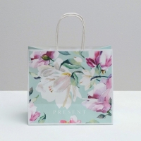 Пакет подарочный крафтовый, упаковка, &laquo;Present&raquo;, 25 х 22 х 12 см