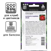 Семена цветов Катарантус Пацифика "Оранж" 10 шт