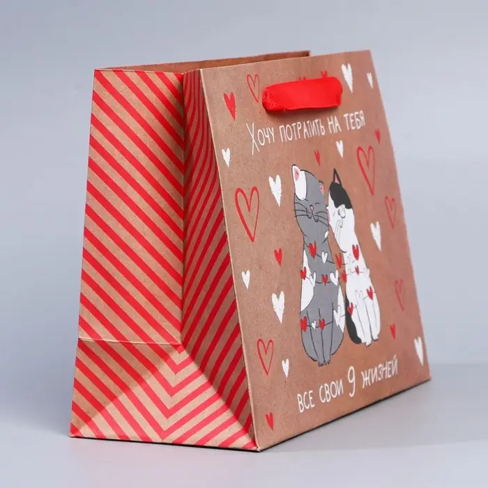 Пакет подарочный крафтовый, упаковка, &laquo;Потрачу девять жизней&raquo;, MS 18 х 23 х 8 см