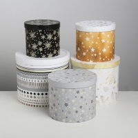 Набор подарочных коробок 5 в 1 &laquo;Изморозь&raquo;, 13 х 14‒19.5 х 22 см 3580137, Новый год