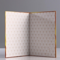 Папка адресная на выпускной &laquo;Выпускнику!&raquo;, А4