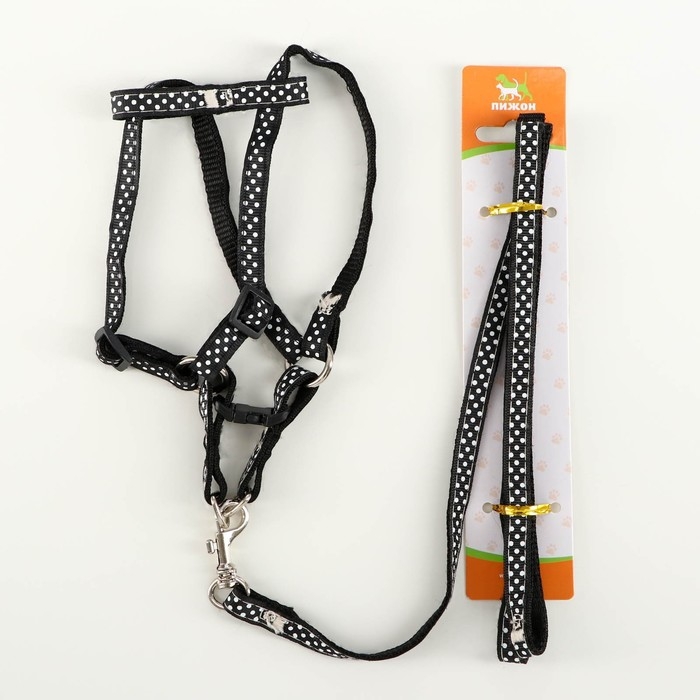 Комплект амуниции "Горошек", ширина 1 см, шлейка 27-42 см, поводок 120 см, чёрный