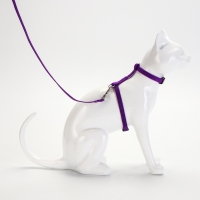 Комплект для кошек, ширина 1 см, ОШ 16,5-27 см, ОГ 21-35 см, поводок 120 см, фиолетовый