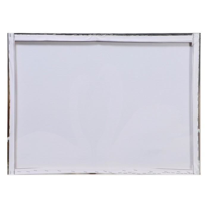 Картина "Лебёдушки" 50*70 см