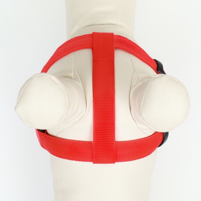 Шлейка светящаяся размер M, стропа 2,5 см, ОГ 38-50 см, 3 режима свечения красная