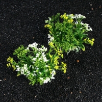 Растение искусственное аквариумное, 12 см Растение искусственное аквариумное, 12 см