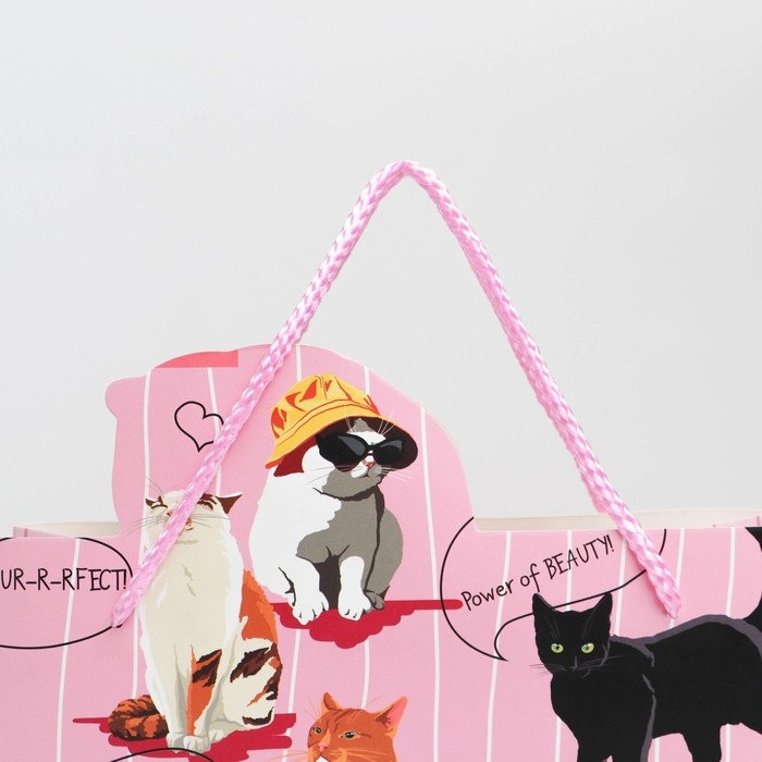 Пакет подарочный, упаковка, &laquo;Girl PWR&raquo;, 25 х 26 х 10 см