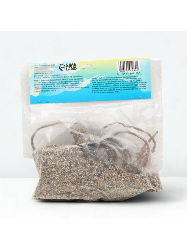 Хоста Colored Hulk, корневище в пакете с торфогрунтом, р-р I, размер M,1 шт.