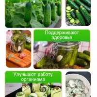 Семена Огурец "Засолочный", 0,5 г