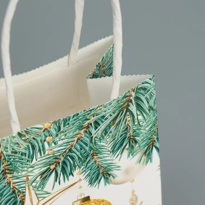 Пакет подарочный новогодний крафтовый &laquo;Роскошь Нового года&raquo;, 15 х 10 х 6 см