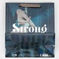 Пакет подарочный ламинированный, упаковка, &laquo;Никогда не сдавайся&raquo;, радужная голография, ML 23 х 27 х 11.5 см