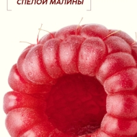 Шампунь для волос, питающий уход, аромат малины, 400 мл, Рябина