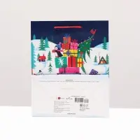 Пакет подарочный &laquo;Дед Мороз везёт подарки&raquo;, 18&times;22.3&times;10 см