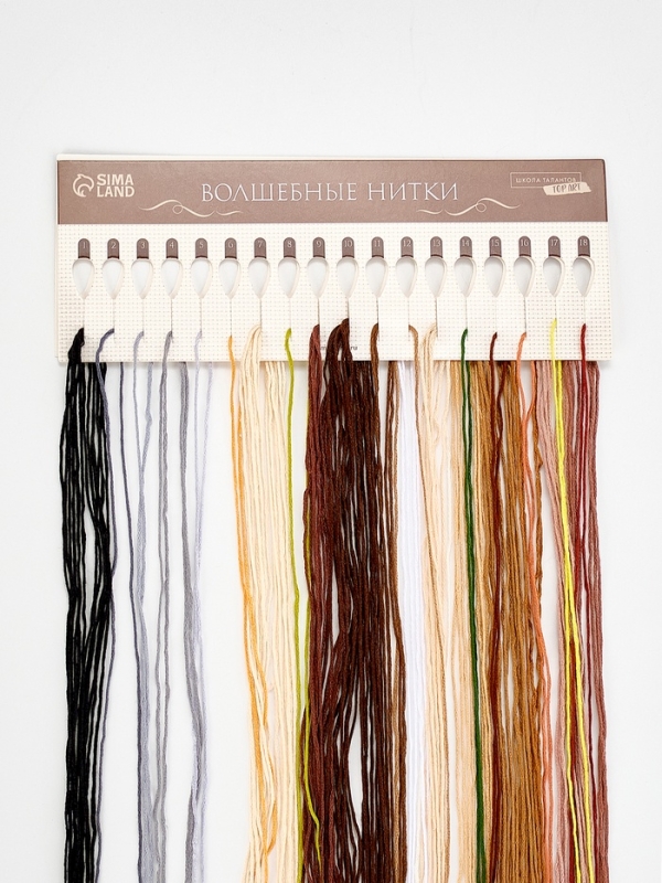 Вышивка крестиком 21х30 см "Домашний кот"