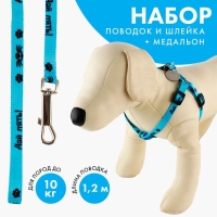 Комплект &laquo;Дай пять!&raquo;, шлейка 26-39 см, поводок 120х1 см, медальон