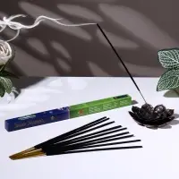 Благовония "Зодиак РЫБЫ &ndash; глициния", 8 палочек