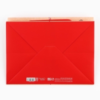 Пакет подарочный новогодний с широким дном &laquo;Сказочный подарок&raquo;, 25 х 19 х 18 см