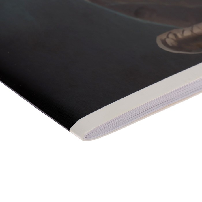 Альбом для рисования А4, 32 листа на скрепке "Динозавр", обложка мелованный картон, блок 100 г/м&sup2;