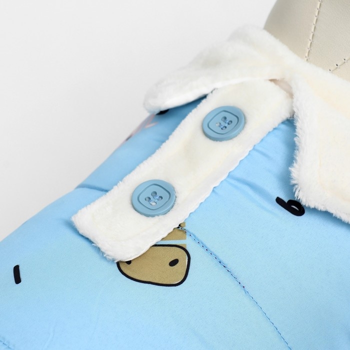 Комбинезон Комбинезон "Метель", размер S (ДС 25 см, ОГ 35, ОШ 24 см), голубой