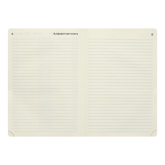 Ежедневник датированный 2024 A5 176 листов, deVENTE.I Love Cat, твёрдая обложка из искусственной кожи, тиснение фольгой, ляссе, кремовый блок 70 г/м2, розовый