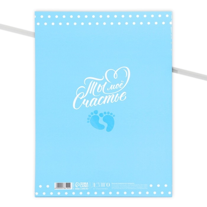 Папка для свидетельства о рождении &laquo;Мои первые документы&raquo;, А4.