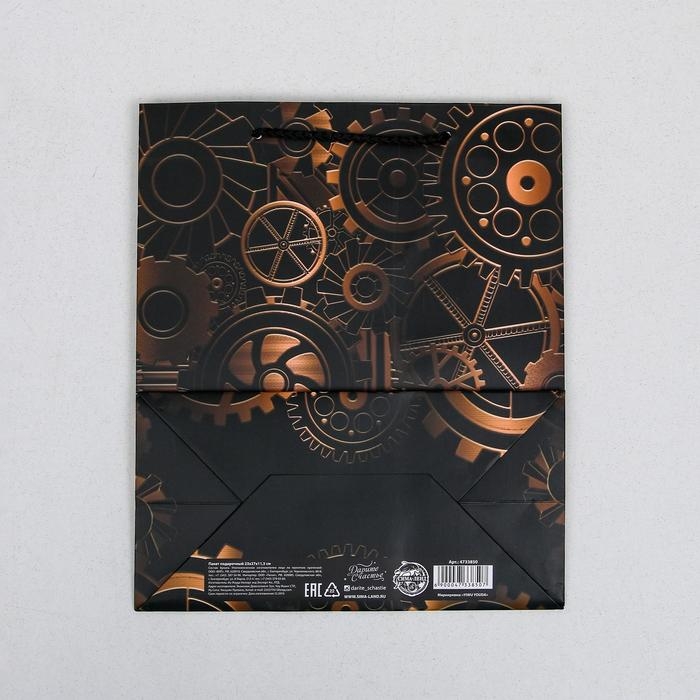 Пакет подарочный ламинированный вертикальный, упаковка, Steel, ML 23 х 27 х 11,5 см