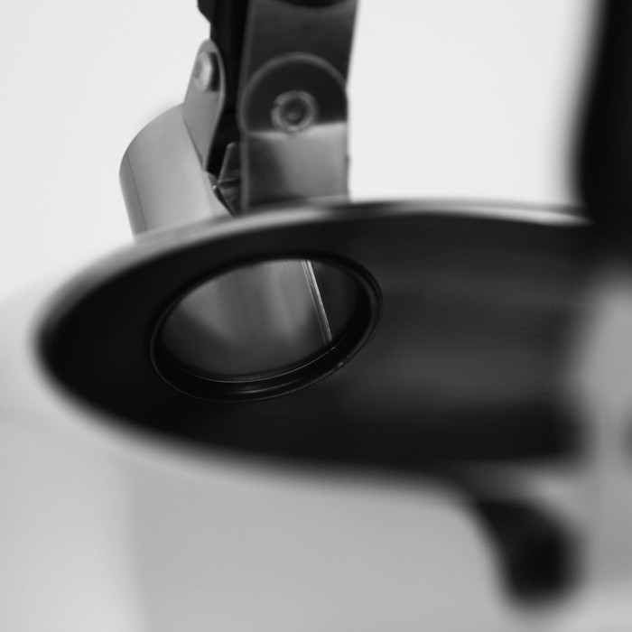 Чайник со свистком из нержавеющей стали Доляна &laquo;Чёрная ночь&raquo;, 2 л, индукция, цвет хромированный