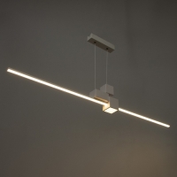 Светильник с ПДУ "Наоми" LED 20Вт 3000-6000К белый 120х100 см