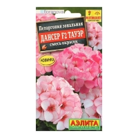 Семена цветов Пеларгония "Дансер Тауэр", смесь окрасок, F2, 5 шт. Семена цветов Пеларгония "Дансер Тауэр", смесь окрасок, F2, 5 шт.