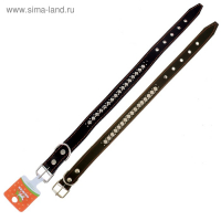 Ошейник кожаный на синтепоне "Ёж", 69 х 3.6 см, ОШ 45-60 см, чёрный Ошейник кожаный на синтепоне "Ёж", 69 х 3.6 см, ОШ 45-60 см, чёрный