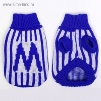 Свитер, размер 6 (24-28 см), микс расцветок Свитер, размер 6 (24-28 см), микс расцветок