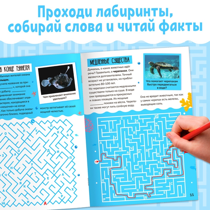 Книга &laquo;Лабиринты и факты. Удивительный подводный мир&raquo;, 24 стр.3