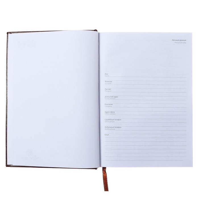 Ежедневник датированный 2024 года, А5, 176 листов, Attomex.Orion, обложка бумвинил, ляссе, блок 70 г/м2, коричневый