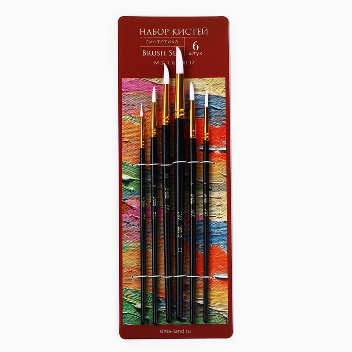Кисть для рисования набор, синтетика круглые 6 штук &laquo;Текстура&raquo; № 2,4,6,8,10,12