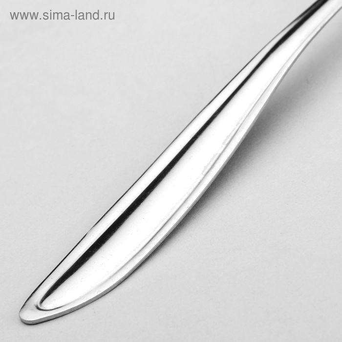 Ложка для снятия пены &laquo;Вираж&raquo;, 20 см, толщина 1 мм