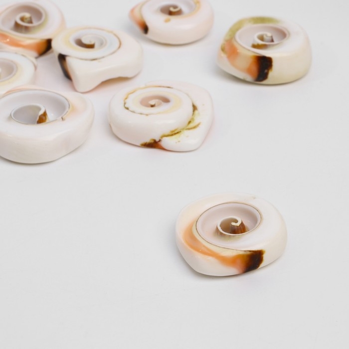 Бусина &laquo;Ракушка&raquo; спираль, 2,1-2,8 см, (набор 50 г), цвет бело-коричневый