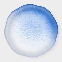 Тарелка стеклянная &laquo;Лотос&raquo;, d=16,7 см, цвет синий