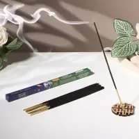 Благовония &laquo;Зодиак БЛИЗНЕЦЫ &ndash; мандарин&raquo;, 8 палочек