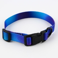 Ошейник «Даже на краю света», застёжка - фастекс, 2 см 25-40 см Ошейник «Даже на краю света», застёжка - фастекс, 2 см 25-40 см