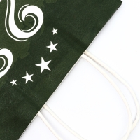 Пакет подарочный крафт "С 23 Февраля!" 21 х 11 х 27 См Пакет подарочный крафт "С 23 Февраля!" 21 х 11 х 27 См