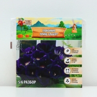 Глоксиния &laquo;Принц Альберт&raquo;, многолетник, комнатный, луковица в пакете с перфорацией, р-р 5/6, 2 шт.