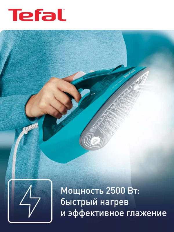 Паровой утюг Express Steam FV2867E0, с автоотключением