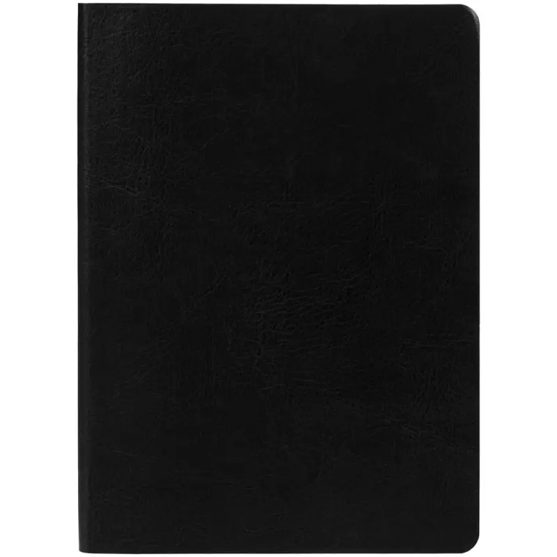 Ежедневник Nebraska Flex, недатированный, черный с золотистым